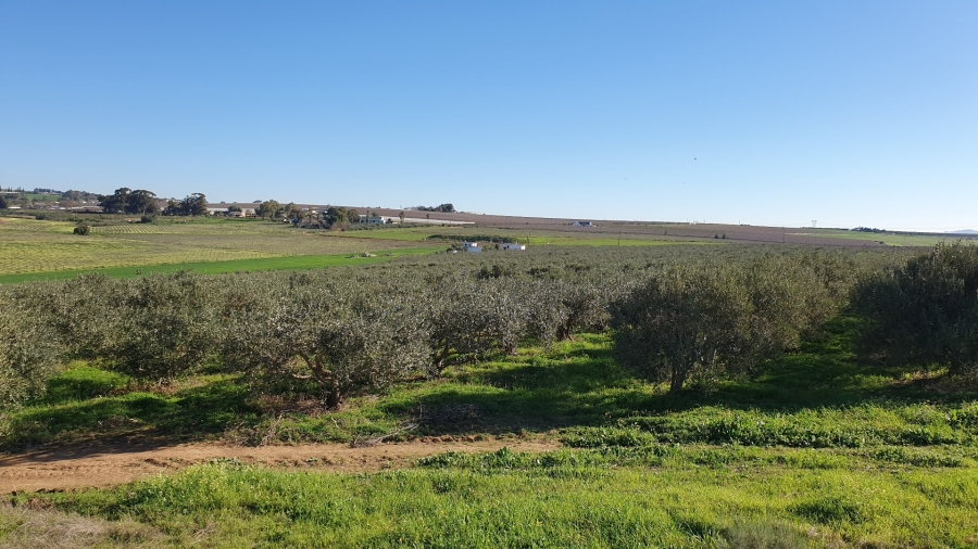 Commercial Property for Sale in Paarl Rural Western Cape